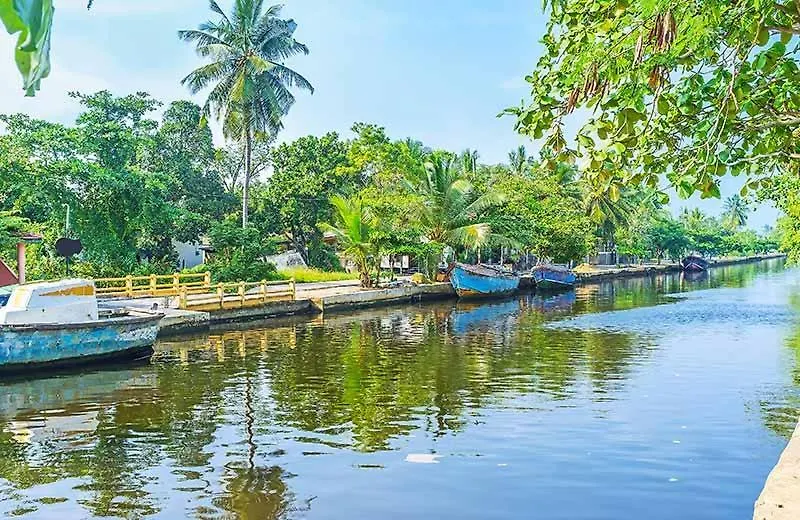 Guest house Tranquil Residence Negombo